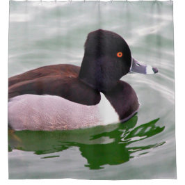 Ring Necked Duck Duschvorhang