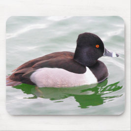 Ring Necked Duck Mousepad