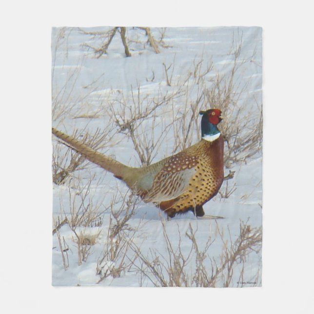 Ring-necked Fasan B22 im Schnee Fleecedecke (Vorderseite)