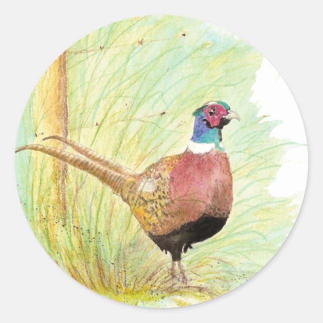 Ring Necked Pheasant Bird, Wildlife, Nature Runder Aufkleber (Vorderseite)