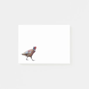 Ring Necked Pheasant Post-it Klebezettel