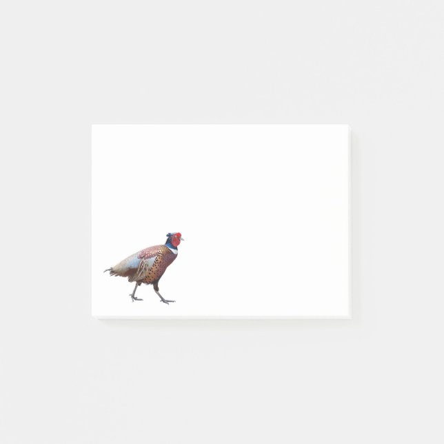 Ring Necked Pheasant Post-it Klebezettel (Vorderseite)