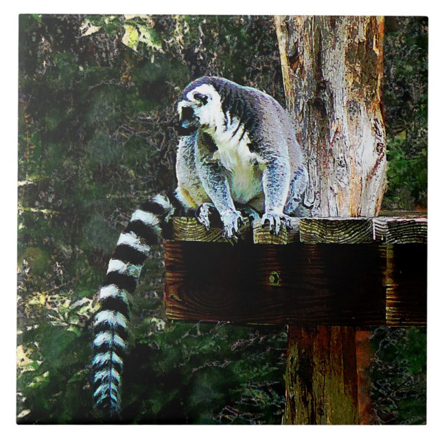 Ring-Tail Lemur Fliese (Vorderseite)