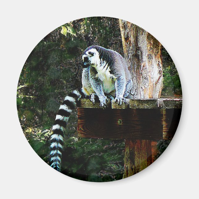 Ring-Tail Lemur Magnet (Vorne)