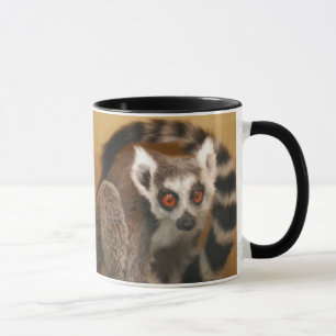 Ring Tails Lemur 2-Panel 2-Töne Tasse