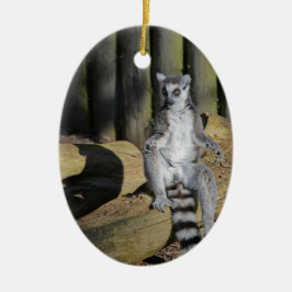Ring Tails Lemur Drusillas Park Keramik Ornament