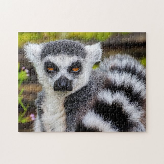 Ring Tails Lemur, Jigsaw Puzzle (Horizontal)