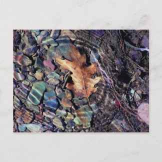 Ringe aus hellem Wasser Postkarte