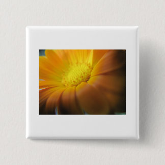 Ringelblume Button