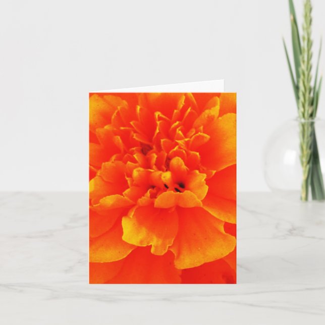 Ringelblume Karte (Vorderseite)