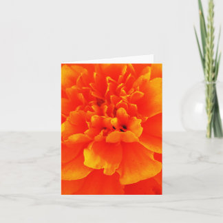 Ringelblume Karte