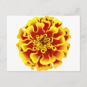 Ringelblume Postkarte