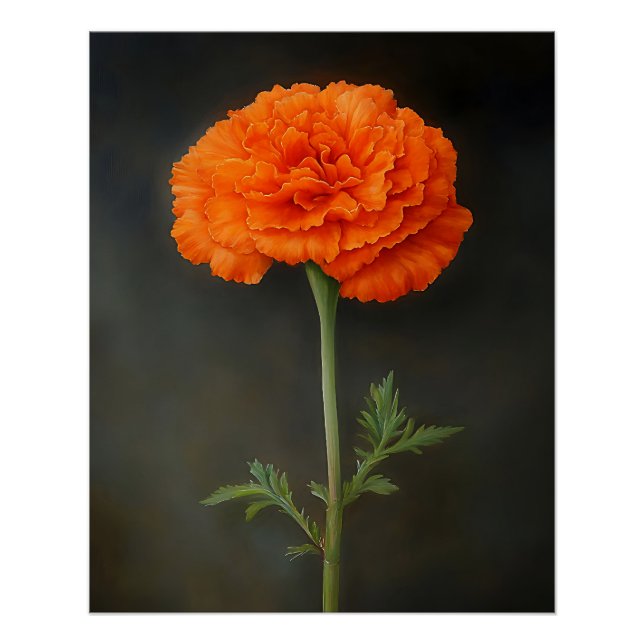 Ringelblumen-Botanikmalerei Poster (Vorderseite)