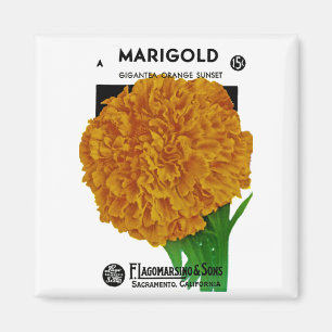 Ringelblumen-Vintages Samen-Paket Magnet