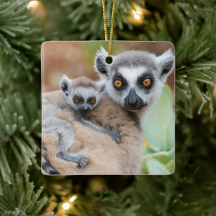 Ringelschwanzmaki-Baby auf dem Rücken seiner Mutte Keramikornament