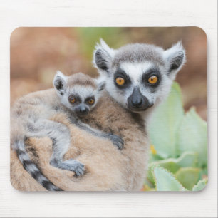 Ringelschwanzmaki-Baby auf dem Rücken seiner Mutte Mousepad