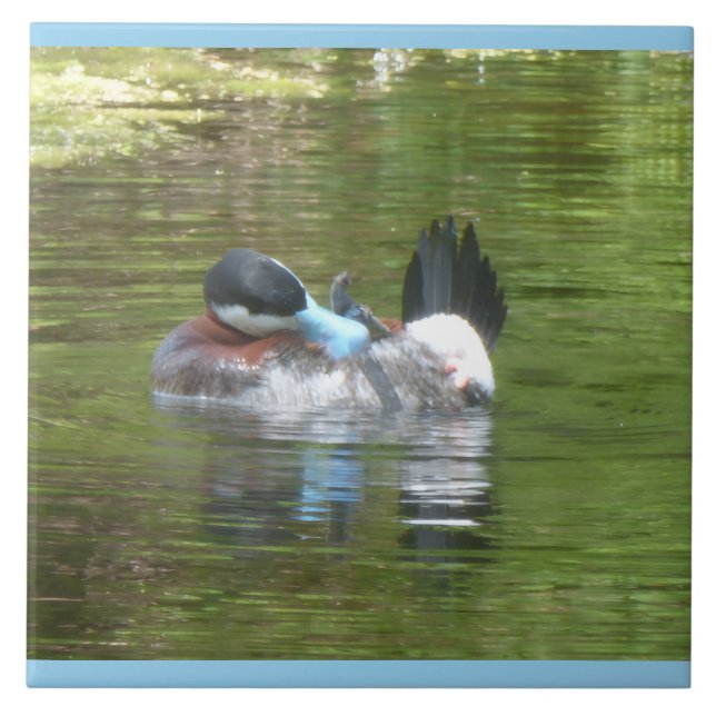 Ringförmige Enten-Kundengebinde-Randfarbe Keramikf Fliese (Vorderseite)