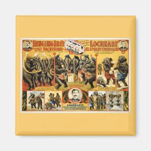 Ringling Bros Pachyderme1899 Magnet