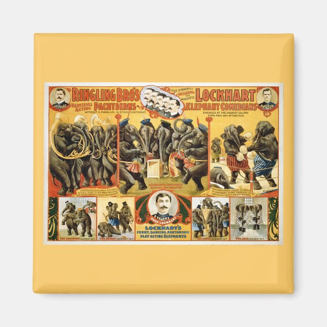 Ringling Bros Pachyderme1899 Magnet (Vorne)