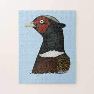Ringneck