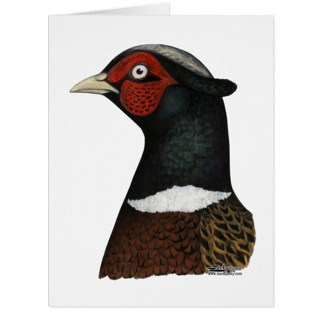 Ringneck Pheasant Head (Devant)