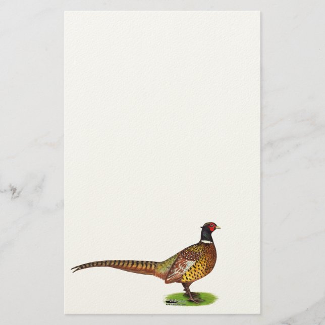 Ringneck Pheasant Rooster Briefpapier (Vorderseite)