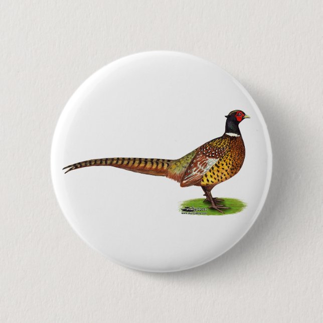 Ringneck Pheasant Rooster Button (Vorderseite)