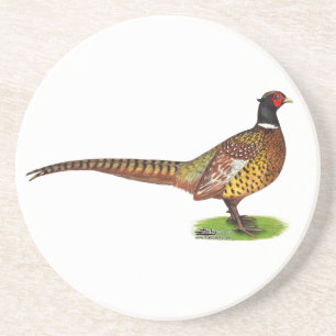 Ringneck Pheasant Rooster Getränkeuntersetzer