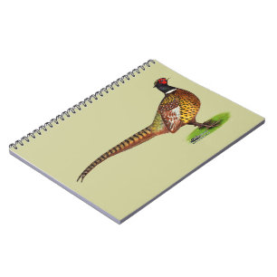 Ringneck Pheasant Rooster Notizblock