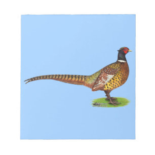 Ringneck Pheasant Rooster Notizblock