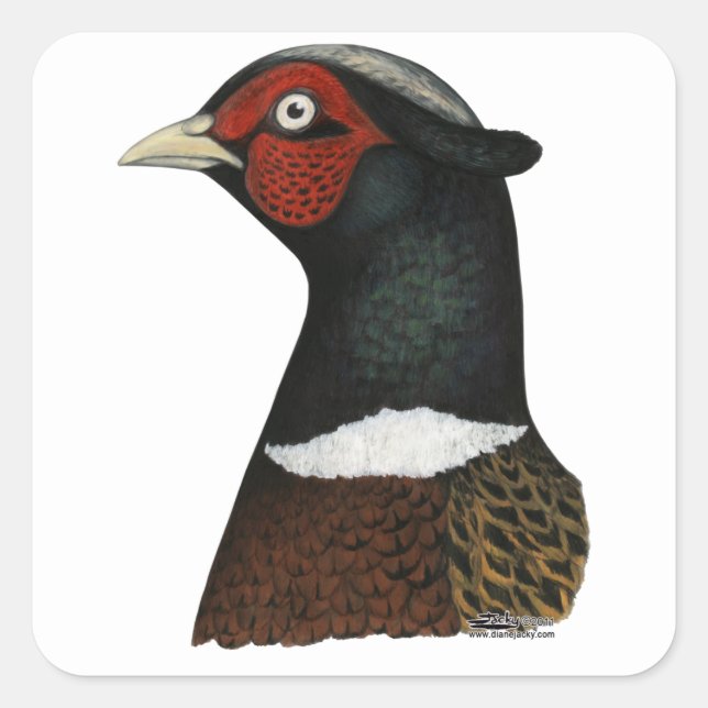 Ringneck Quadratischer Aufkleber (Vorderseite)