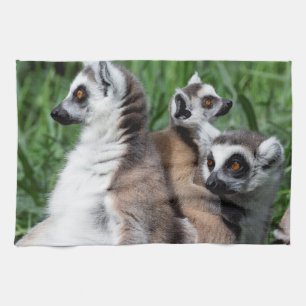 Ringschwanzfamilie Lemur Geschirrtuch