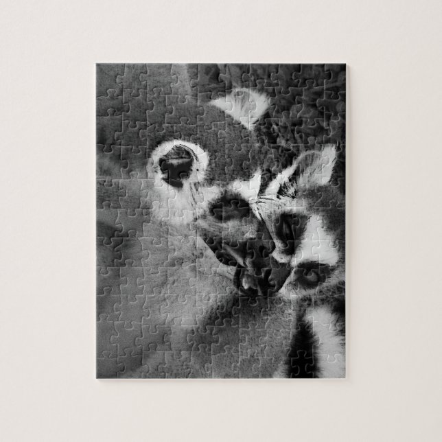 Ringschwanzknechtschaft mit Wassermelone (Vertikal)