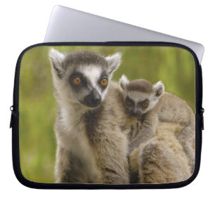 Ringschwanzlemmeln (Lemur catta) Mutter & Baby. Laptopschutzhülle