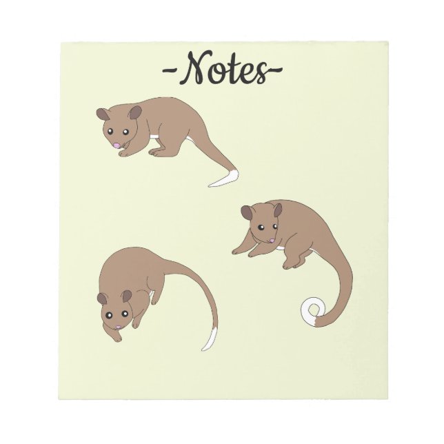 Ringschwanzpossums Notizblock (Vorderseite)