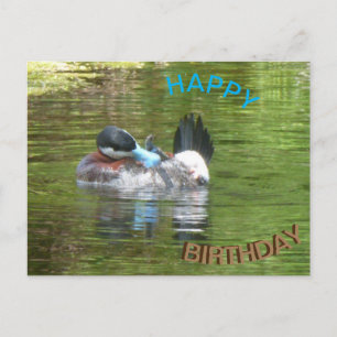 Ringtaling Ente Happy Birthday Postkarte