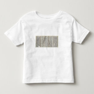 Rio Colorado des Westens Kleinkind T-shirt