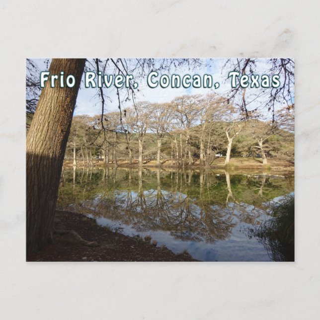 Rio Frio River Concan Texas Garner Staat Park Tree Postkarte (Vorderseite)