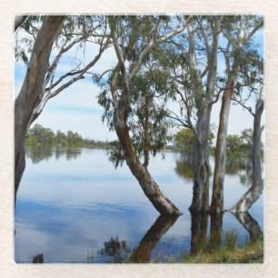Río Murray Australia Beauty of the Gum Trees, Glasuntersetzer