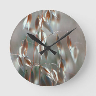 Ripe Oats (Avena Sativa) Close Up. Ceres, Boland Runde Wanduhr