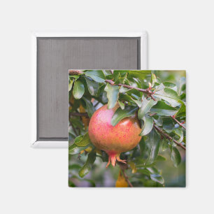 Ripe Pomegranat auf dem grünen Shrub Magnet