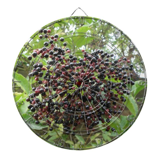 Ripening Cible de flechettes des airelles (Devant)