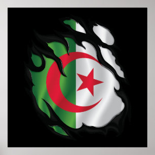 Rippenflagge in Algerien Poster