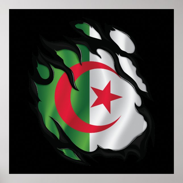 Rippenflagge in Algerien Poster (Vorne)