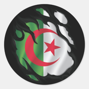 Rippenflagge in Algerien Runder Aufkleber