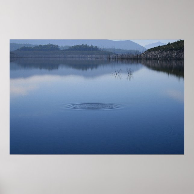 Ripple in Still Water - Poster (Devant)