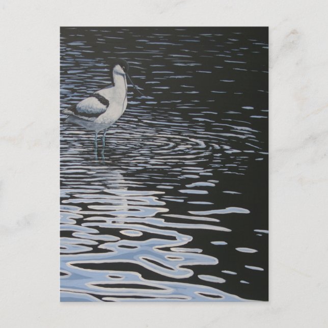Ripples und ein Avocet dagegen Postkarte (Vorderseite)