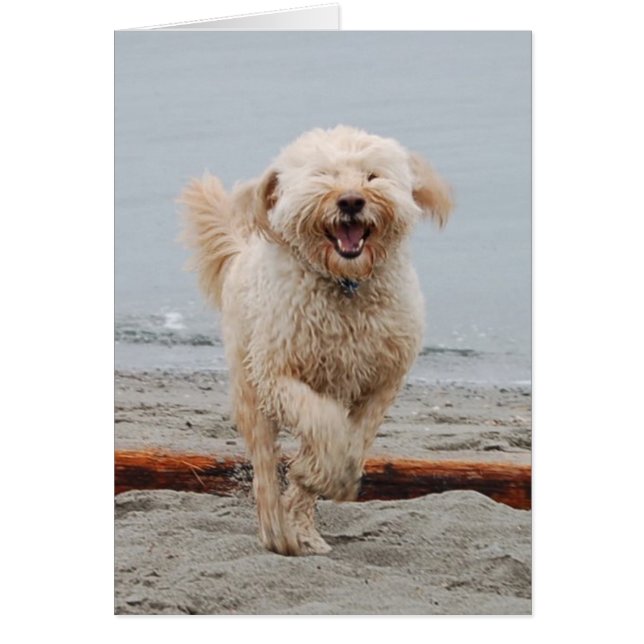 rire (Devant)
