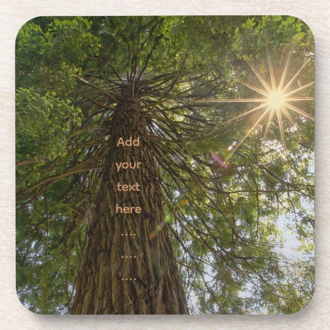 RISE Inspirationelles Foto eines Baumes zum Himmel Getränkeuntersetzer (Vorderseite)