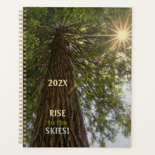 RISE Inspirationelles Foto von Sequoia zum Himmel Planer